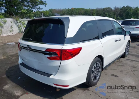 2024 Honda Odyssey Ex-L from USA, damaged, VIN 5FNRL6H67RB056610